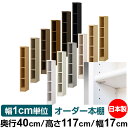 日本製 本棚 F★★★★ 低ホルムアルデヒド【イージーロック棚受タイプ】オーダー 本棚 収納 棚 書棚 ラック サイズオーダー 大容量オーダーマルチラック 奥行40cm 高さ117cm 幅17cm【標準タイプ】(3)