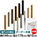 日本製 本棚 F★★★★ 低ホルムアルデヒド【イージーロック棚受タイプ】オーダー 本棚 収納 棚 書棚 ラック サイズオーダー 大容量【送料無料】オーダーマルチラック 奥行40cm 高さ178cm 幅15cm【標準タイプ】