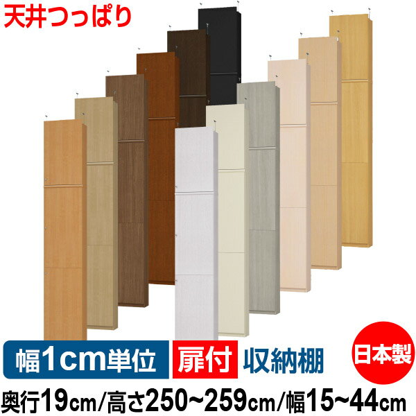 ŷ ĤäѤ   ê Ǽ ê ê å   ̵ۥޥå 19cm ⤵25...