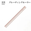 文化 グレーディングルーラー(カーブ定規 カーブ尺 曲線 なめらか ミシンキルト ヒップライン 曲線 袖ぐり 襟ぐり 衿ぐり パターン 製図用紙 文化 ドレメ ...