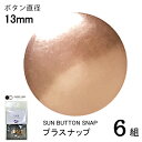 CHERRYLABEL プラスナSMS13 SMS-13TCP