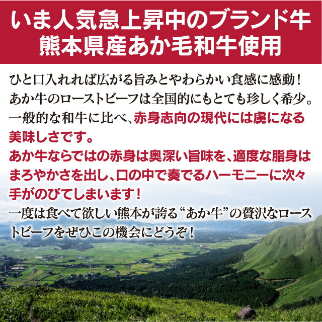 ローストビーフ あか牛 2本 計400g 約4-5人前 送料無料 食品 グルメ ギフト プレゼント 国産 熊本産 ブランド牛 和牛 大嶌屋（おおしまや）【gift】 3