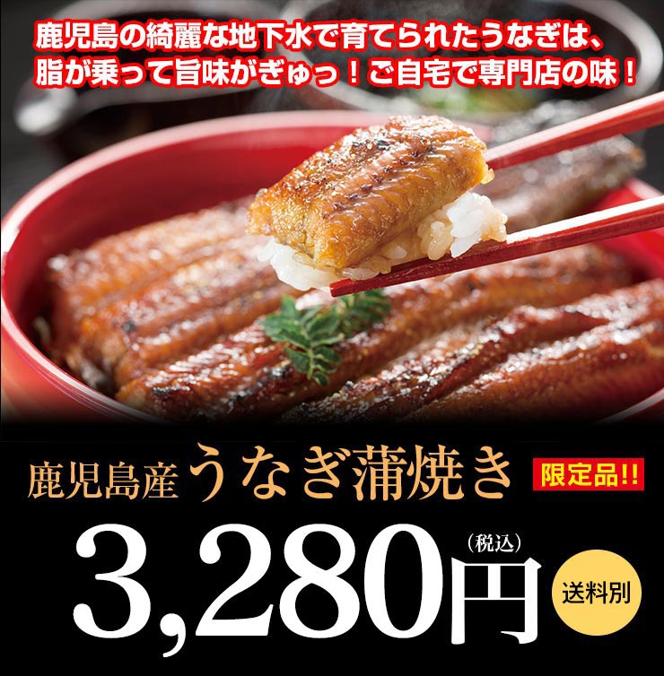 グルメ うなぎ 国産 鹿児島 ウナギ 蒲焼き 鰻 かば焼き ＜タレ付き＞ 特大 1尾 180g-200g前後 食品 グルメ ギフト プレゼント 送料別 クール代別途 大嶌屋（おおしまや）【gift】