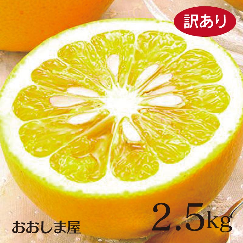 訳あり 河内晩柑 かわちばんかん 2.5kg（約5玉から10玉） 2箱以上購入で 送料無料 グレープフルーツ 文旦 天草晩柑 ジューシーゴールド ジューシーオレンジ 熊本 大嶌屋（おおしまや）