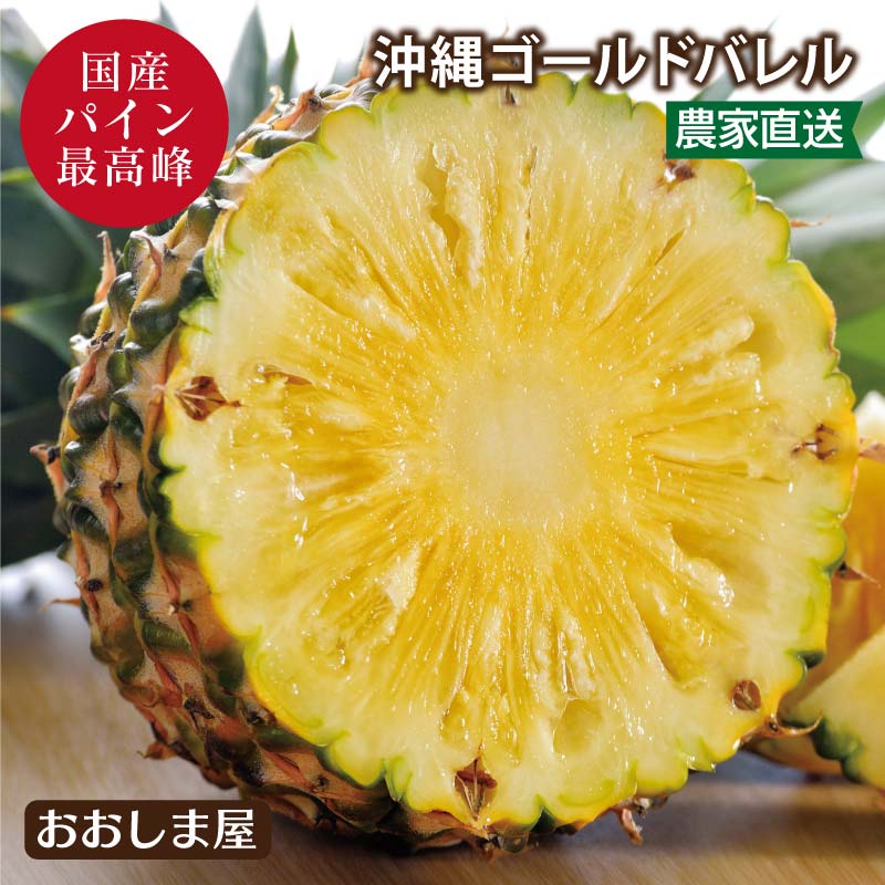 パイナップル ゴールドバレル パイン 送料無料 ＜6月下旬から順次出荷＞ 3kg 約2～5玉 沖縄 冷蔵便 石垣 西表 国産 食品 グルメ ギフト プレゼント 南国 トロピカルフルーツ フルーツ 果物 大…