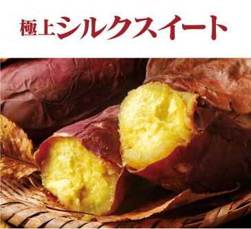 野菜 旬 料理 レシピ シルクスイート 5kg（25~35本）送料無料 産地直送 さつまいも サツマイモ さつま芋 薩摩芋 から芋 カライモ 土付き 泥付き 国産 熊本 大嶌屋（おおしまや）