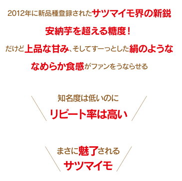 お歳暮 フルーツ ギフト 野菜 シルクスイート 3kg 送料無料 熊本 大津 産地直送 さつまいも サツマイモ さつま芋 薩摩芋 から芋 カライモ 蜜芋 大嶌屋（おおしまや）