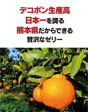 ゼリー みかん デコポンゼリー 1箱 12個入り 食品 グルメ ギフト プレゼント 贈答 景品 おやつ スイーツ 洋菓子 ＜おおしま屋発送の常温便と同梱可＞ 大嶌屋（おおしまや）【gift】