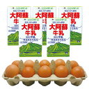 熊本の卵と牛乳セット 卵 玉子 10個 セット 牛乳 ロングライフ牛乳 大阿蘇牛乳 250ml×5本 那須ファーム らくのうマザーズ 熊本県酪農業 送料別 ＜おおしま屋発送の冷蔵便と同梱可能＞ 大嶌屋（おおしまや）