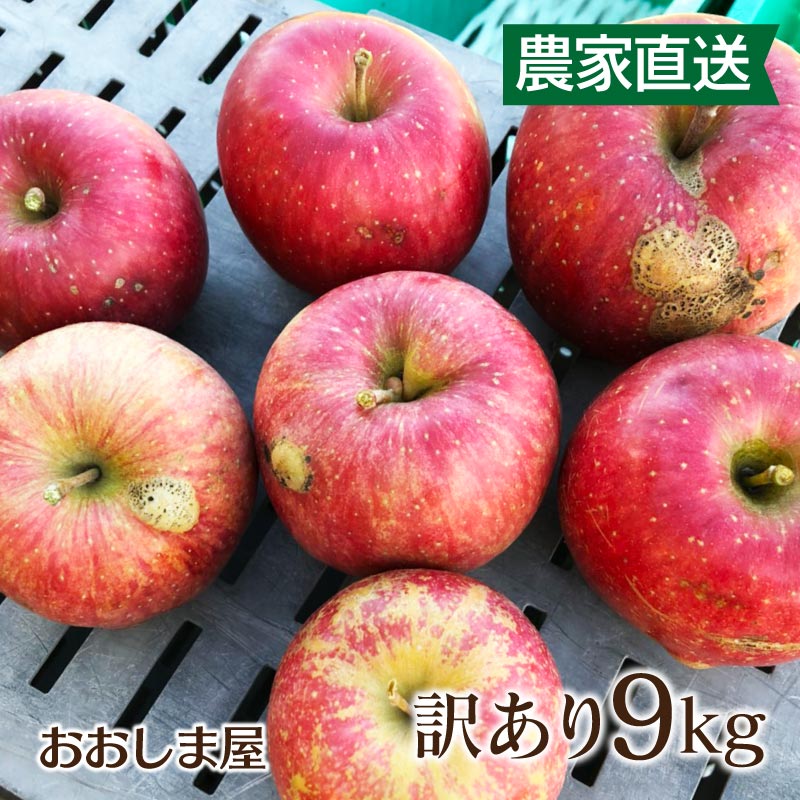 フルーツ 果物 訳ありふじりんご 9kg りんご お買い得 リンゴ 家庭用 大量買い まとめ買い 農家直送 大嶌屋（おおしまや）