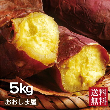 野菜 旬 料理 レシピ シルクスイート 5kg（25~35本）送料無料 産地直送 さつまいも サツマイモ さつま芋 薩摩芋 から芋 カライモ 土付き 泥付き 国産 熊本 大嶌屋（おおしまや）