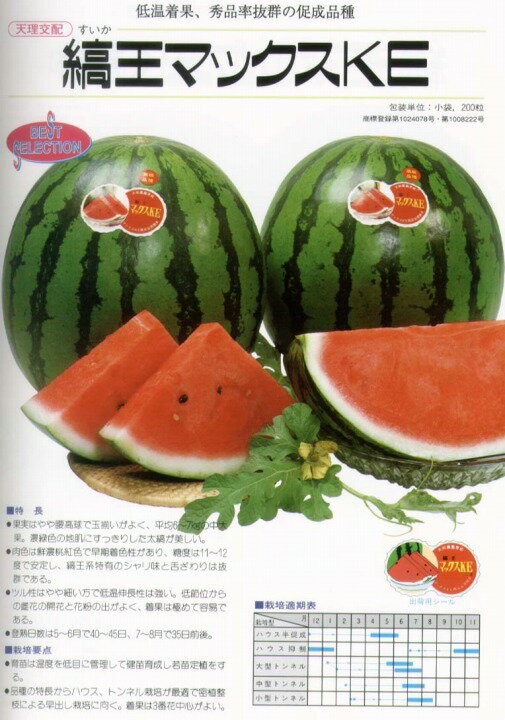 【スイカ】 天理交配 縞王マックスKE [春まき野菜のタネ]