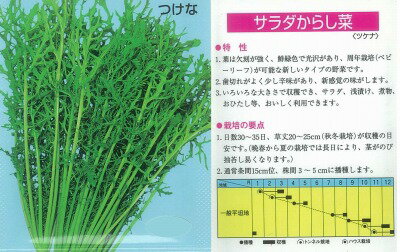 【ミズナ】 トキタ サラダからし菜 [春まき野菜のタネ]