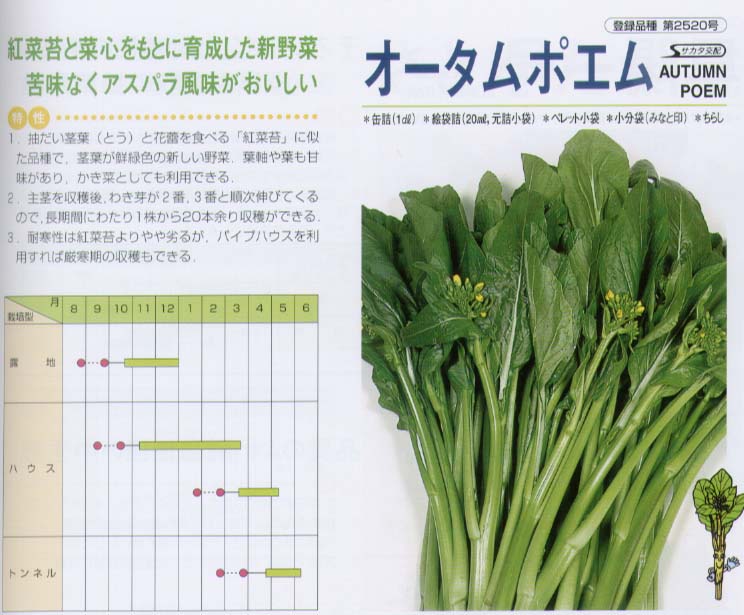 【その他ツケナ】サカタ交配 オータムポエム [春まき野菜のタネ]