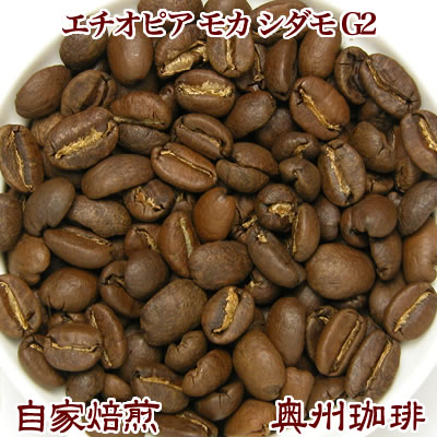 自家焙煎コーヒー豆ストレートコーヒー【エチオピア モカ シダモ G2】100g【コーヒー豆】【コーヒー豆】【コーヒー豆…