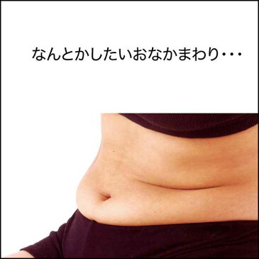 ダイエット くびれ 下腹 スッキリ 脇肉 背肉 エクササイズ無理なく痩せる 体系変わる 体系変化 美体系 運動家トレ 自宅トレーニング テレビ見ながら 寝転びエクササイズ骨盤ゆらスリムN