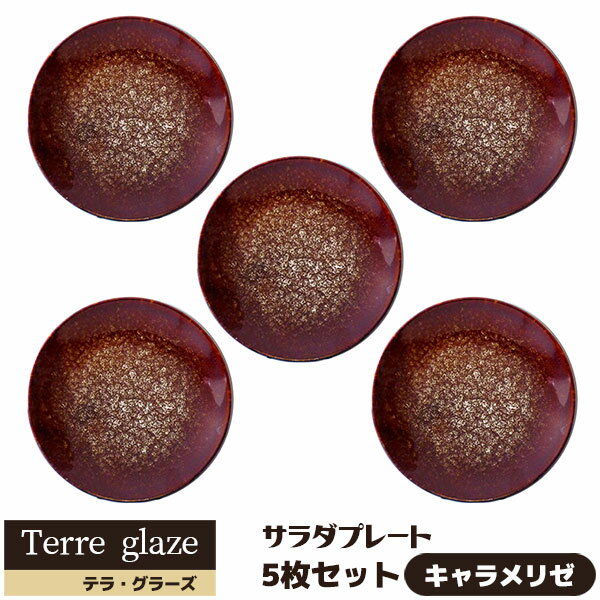 樂天商城 - 【取寄品】 Terre glaze テラ・グラーズ サラダプレート 5枚セット ＜キャラメリゼ＞中皿 お皿 丸皿 ケーキ皿 デザート皿 おしゃれ 食器セット モダン かっこいい 電子レンジ対応 食洗機対応 ギフト プレゼント お祝い 母の日 結婚祝い 日本製