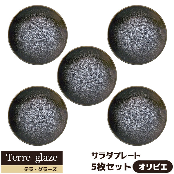 【取寄品】 Terre glaze テラ・グラーズ サラダプレート 5枚セット ＜オリビエ＞中皿 お皿 丸皿 ケーキ皿 デザート皿 おしゃれ 食器セット モダン かっこいい 電子レンジ対応 食洗機対応 ギフト プレゼント お祝い 母の日 結婚祝い 日本製