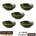 【取寄品】 Terre glaze テラ・グラーズ ラージボウル 5ヶセット <オリビエ>スープボウル サラダボウル 中鉢 中皿 ボール おしゃれ 食器セット ...