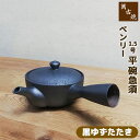 【取寄品】 萬古焼 ベンリー急須 1.5号平碗急須 <黒ゆずたたき>おしゃれ 使いやすい 注ぎやすい 洗いやすい かわいい 可愛い きゅうす ティーポット 底網...