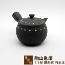 【取寄品】 萬古焼 陶山急須 1.5号 黒泥吹 円水玉茶器 お茶 日本茶 緑茶 土瓶 ティーポット かわいい 可愛い おしゃれ シンプル 和食器 ギフト お祝い...