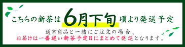 新茶予約 2021 粉茶 山吹100g 新茶 静岡 お茶 こな 緑茶 茶葉 リーフ 日本茶 深蒸し茶 深むし茶 あがり 寿司屋 プレゼント ギフト お土産 健康 国産 一番茶 初摘み 贈り物 お祝い お礼 挨拶 旬 初物 縁起物 自宅 飲み物 業務用 本格 簡単 便利 安い お得
