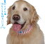 ソフトジェルクールバンダナ冷えひえボーダー【大型犬向け】<あす楽対応>