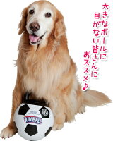 ジャンボール【大型犬用おもちゃ】<あす楽対応>