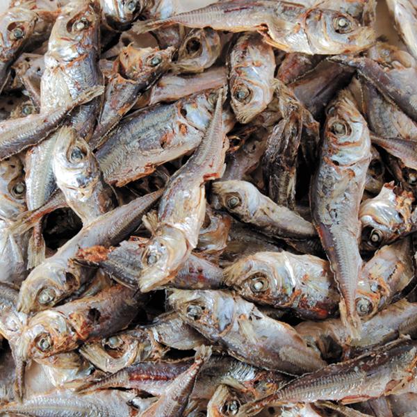豆あじ【犬用】＜あす楽対応＞