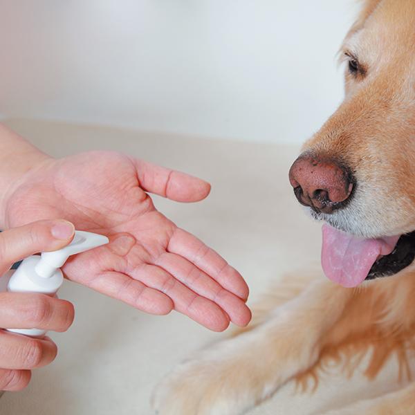 QIX�ʥ��å����� BASICS ��ǻ�٥���ߥɥܥǥ�������ڸ��ѡۡ㤢�����б���