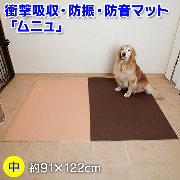 アイアンバロン ムニュ（MUNYU）中 91×122cm 厚さ1cm