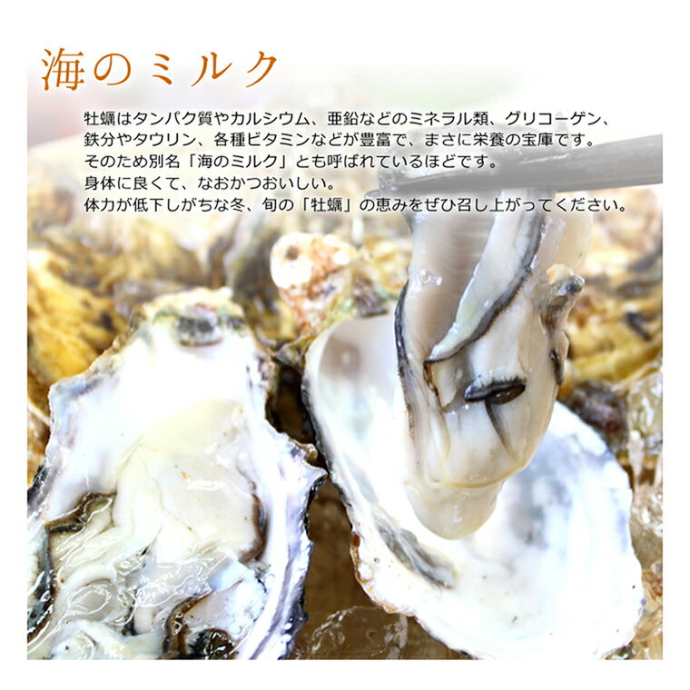 【牡蠣シーズン到来♪】坂越産 殻付き牡蠣30ヶ [送料無料]生食OK★熱を加えても縮まない！臭みがなく食べやすい牡蠣♪【楽ギフ_包装】【楽ギフ_のし】【楽ギフ_のし宛書】【楽ギフ_メッセ】【楽ギフ_メッセ入力】
