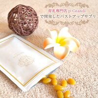 プルンシアPREMIUM1袋(30粒約15日分)バストアップサプリ育乳バストアップボロンエラスチンワイルドヤム