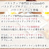 プルンシアPREMIUM1袋(30粒約15日分)バストアップサプリ育乳バストアップボロンエラスチンワイルドヤム