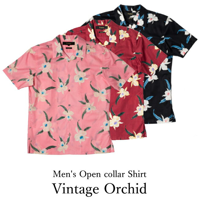 ϥ    Vintage Orchid Ⱦµ/P2020225
