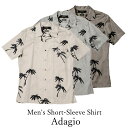 AnVc Y Men's Short-Sleeve Shirt/Adagio /PM0324633