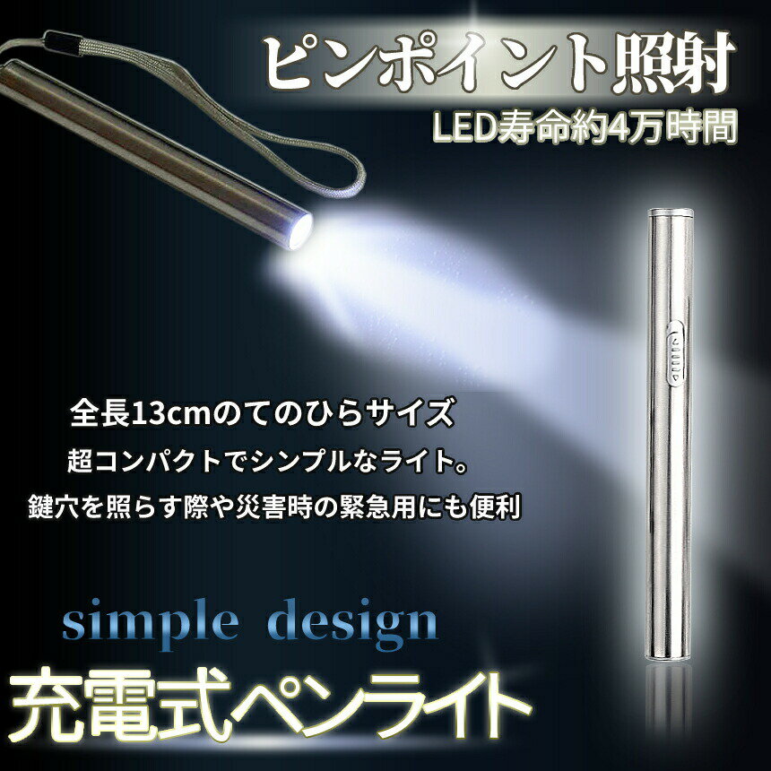 [マラソン期間★全商品ポイント10倍] 小型 LED ペンライト USB 充電 懐中 電灯 作業灯 ペン ライト ハンディ ミニ ペン型 作業 コンパクト アウトドア 釣り キャンプ 簡単 操作 シンプル PINPENRA 送料無料