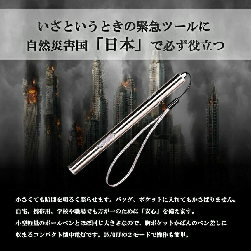 [マラソン期間★全商品ポイント10倍] 小型 LED ペンライト USB 充電 懐中 電灯 作業灯 ペン ライト ハンディ ミニ ペン型 作業 コンパクト アウトドア 釣り キャンプ 簡単 操作 シンプル PINPENRA 送料無料