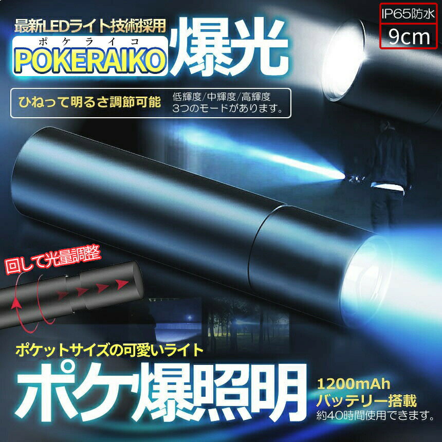 [全商品ポイント10倍] ポケット LED ミニ ライト 9cm 懐中電灯 明るさ 調節 可能 防水 USB 充電 電灯 アウトドア キャンプ 夜釣り 災害 防災 明るい 持ち運び 簡単 車 万能 POKERAIKO 送料無料 PT 10OF