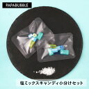 【 塩小分けセット 】 7g×10袋 ギフト プチギフト お菓子 キャンディ プレゼント 実用的 かわいい インスタ映え パパブブレ