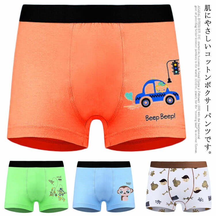 88%OFF!】 取寄 キッキー パンツ キッズ ボーイズ プリント ボクサー ブリーフ セット- 3パック リトル ビッグ Kickee Pants  Kids boys Print Boxer Briefs Set- 3-Pack Little Big Beach Day Stripe Summer  Sky Neptune Popsicles fucoa.cl