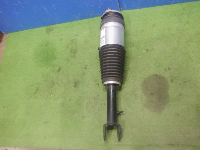 ƥ ǥS 75  2018ǯեȱڥ󥷥 1067362-25-B