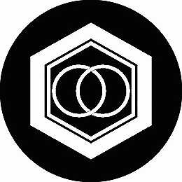 【送料無料】家紋シール 亀甲に輪違い 丸型 or 四角 KS-0897