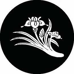 乐天商城 - 【送料無料】家紋シール 根引き杜若 丸型 or 四角 KS-1236