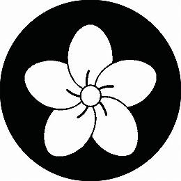 【送料無料】家紋シール 捻じ桔梗 丸型 or 四角 KS-2540