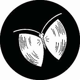 ※領収書は送付先名にて発行し商品に同梱させて頂きます。 別名にてご希望の場合は備考欄にその旨ご記入下さい。 ・こちらの商品は全国送料無料にて発送いたします。 ・日本郵便のクリックポストでの発送となり3日〜4日程でお届けの予定です。 ※在庫管理は定期的に行っておりますが、他店舗でも販売をしておりますので欠品が発生する場合がございます。 その場合はやむを得ずご注文数の減少やご注文のキャンセルをさせて頂く事がございますのであらかじめ御了承下さい。