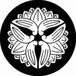 ※領収書は送付先名にて発行し商品に同梱させて頂きます。 別名にてご希望の場合は備考欄にその旨ご記入下さい。 ・こちらの商品は全国送料無料にて発送いたします。 ・日本郵便のクリックポストでの発送となり3日〜4日程でお届けの予定です。 ※在庫管理は定期的に行っておりますが、他店舗でも販売をしておりますので欠品が発生する場合がございます。 その場合はやむを得ずご注文数の減少やご注文のキャンセルをさせて頂く事がございますのであらかじめ御了承下さい。