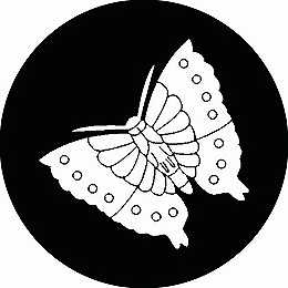 乐天商城 - 【送料無料】家紋シール 尖り花菱 丸型 or 四角 KS-2791