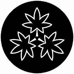 乐天商城 - 【送料無料】家紋シール 中陰尻合わせ三つ楓 丸型 or 四角 KS-4133