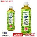 【送料無料】綾鷹 525ml